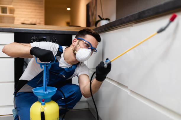 Wildlife Control Services in Spinnerstown, PA