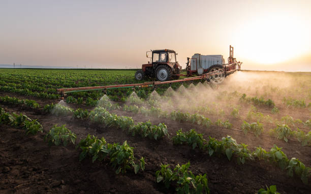Best Commercial Pest Control Services  in Spinnerstown, PA