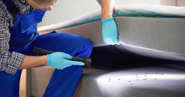 Best Local Pest Control Services  in Spinnerstown, PA