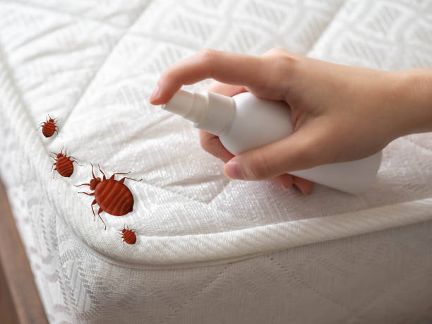 Best Spider Control Near Me  in Spinnerstown, PA
