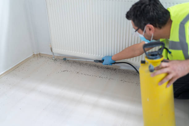 Wasp Removal Services in Spinnerstown, PA