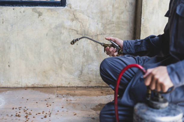 Best Affordable Pest Control Services  in Spinnerstown, PA